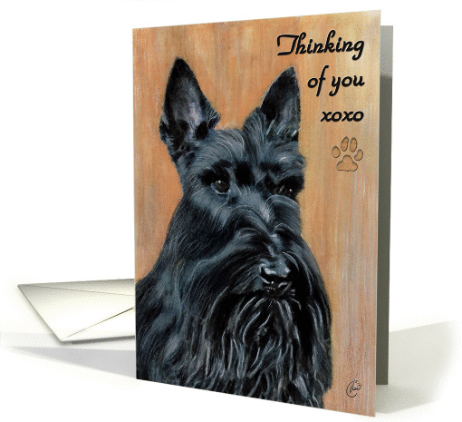 Scottish Terrier Dog Breed Painting card (70529)