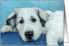Great Pyrenees Puppy Painting card