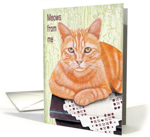 Orange Tabby Cat - Meows from me - Notecard card (70733)