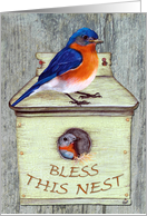 Bless This Nest - All Occasion card