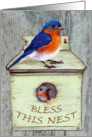 Bless This Nest - All Occasion card