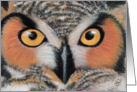 Owl Painting- Here’s looking at Hoo! card