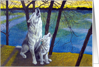 Wolf & Pup Howling -...