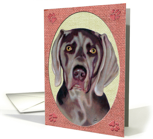 Weimaraner Dog Portrait card (71712)