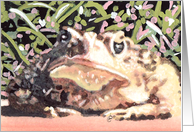 Bull Frog Painting Any Occasion card