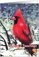 Season’s Tweetings Cardinal Bird Painting Christmas Card