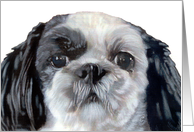 Shih Tzu Puppy Dog Breed Painting Portrait card