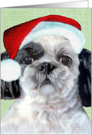 Shih Tzu Puppy Painting Christmas Santa Hat card