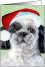 Shih Tzu Puppy Painting Christmas Santa Hat card
