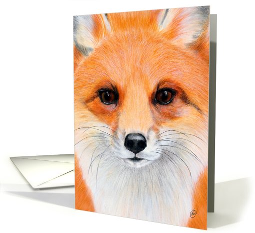 Red Fox Painting - Blank Any Occasion card (73805)