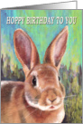 HOPPY Birthday Rabbit Zodiac Verse card