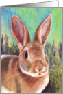 Pet Bunny Rabbit Breed Art Painting all occassion card