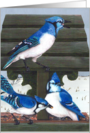 Blue Jays Bird Bird feeder Winter Painting card