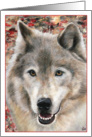 Wolf Portrait Painting Frameable all occasion note card