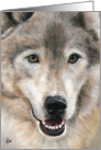 Wolf Close up Painting Frameable all occasion note card