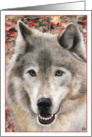 Wolf Painting Happy ’Howl’-oween Halloween Card