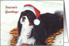 Cavalier King Charles Dog Season’s Greetings Christmas card