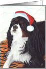 King Charles Spaniel Dog Happy Holidays Christmas card