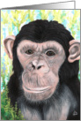 Chimpanzee Painting Cute Monkey Art Birthday Invitation card