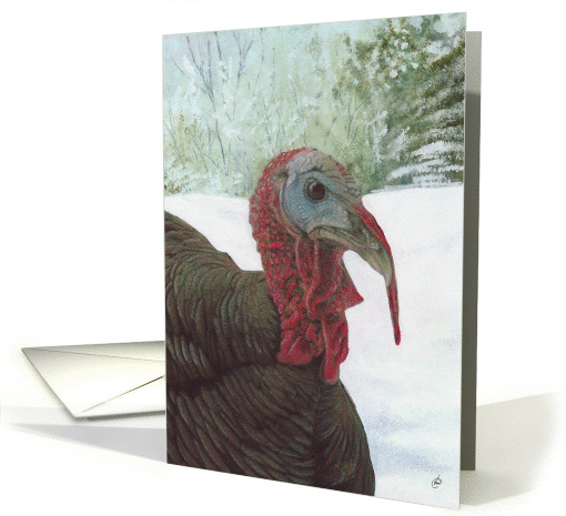 Turkey Narragansett Wild Bird Winter Painting Christmas Greetings card