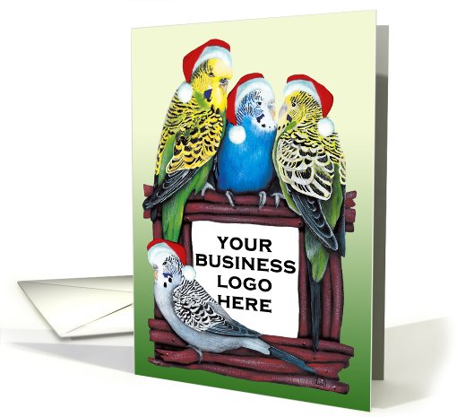 Budgie Parakeet Photo Card YOUR Parrot Aviary Picture or... (878920)