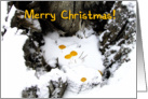 Merry Christmas, Golden Aspen Leaves In the Snow card