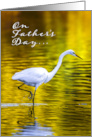 Father’s Day Great White Egret Wades in Still Pond at Sunrise card