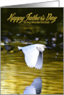 Father’s Day for Dad Great White Egret Flying Over Pond at Sunrise card