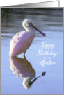 Birthday Mother Roseate Spoonbill casts Perfect Reflection in Pond card