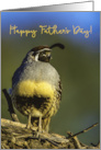 Father’s Day for Dad Closeup of Brightly Colored and Cheerful Gambel’s Quail card