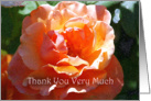 Thank You For Everything You’ve Done, Coral and Peach Rose card