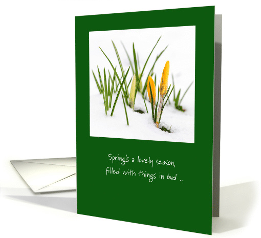 Crocuses in Snow, Humorous Goodbye to Winter and Hello to Mud card