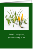 Crocuses in Snow, Humorous Goodbye to Winter and Hello to Mud card