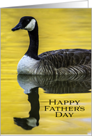 Father’s Day Canada Goose Swims at Dawn with Perfect Reflection card