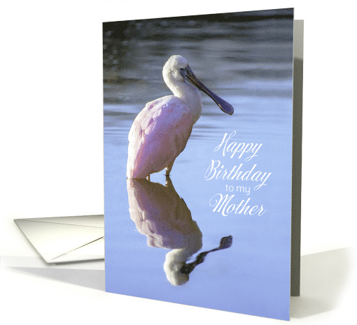 Birthday Mother Roseate Spoonbill casts Perfect... (1686552)