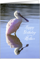 Birthday Mother Roseate Spoonbill casts Perfect Reflection in Pond card
