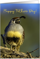 Father’s Day for Dad Closeup of Brightly Colored and Cheerful Gambel’s Quail card