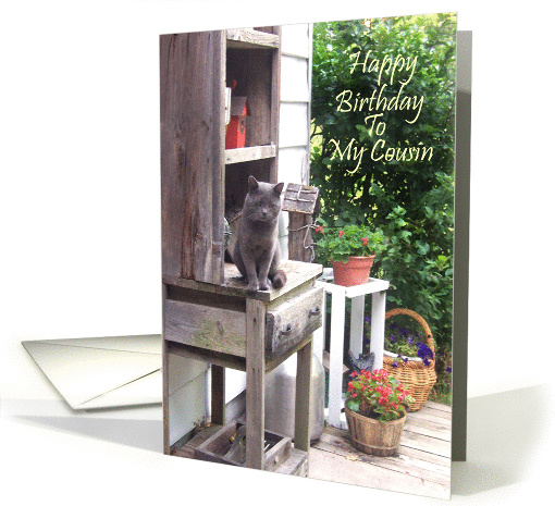 Happy Birthday Cousin With Big Gray Cat card (225175)