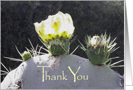 Thank You For Your Support card