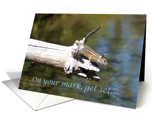 Open House Invitation, Chipmunk On Log Over Stream card (231197)