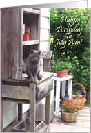 Happy Birthday Aunt card
