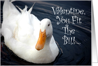 Be Mine, Funny Valentine, White Duck with Bright Orange Bill card