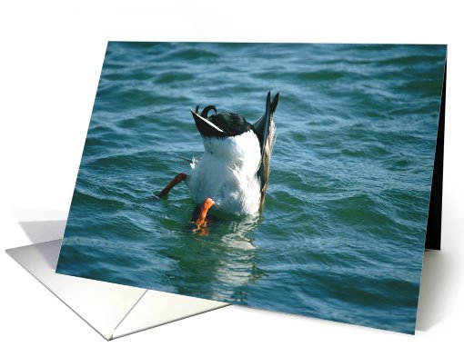 Up-ended Duck All-occasion card (73141)