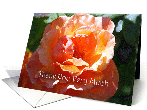 Thank You For Everything You've Done, Coral and Peach Rose card