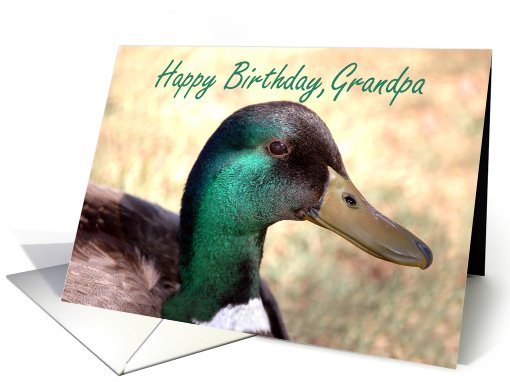 Happy Birthday, Grandpa card (79125)