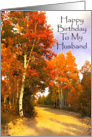 Happy Birthday Husband, Red and Gold Aspens And Country Road card