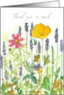 Thank you So Much Poppy Lavender Wildflowers card