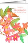 For You Granddaughter On Mother’s Day Hummingbird card