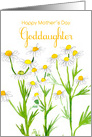 Happy Mother’s Day Goddaughter Chamomile Flowers card
