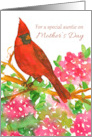 For A Special Auntie On Mother’s Day Cardinal card